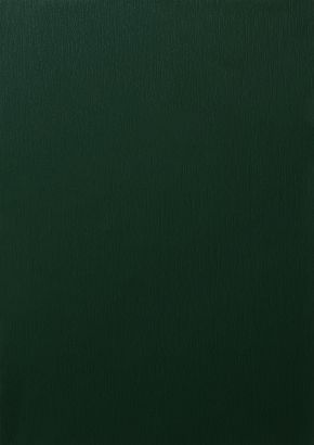 RENOLIT EXOFOL PX DARK GREEN 6125 